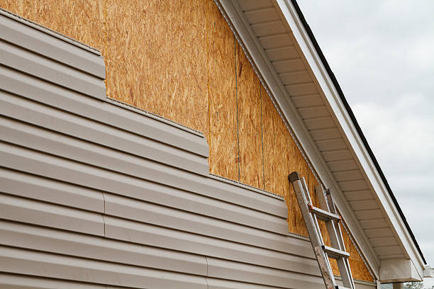 Professional Siding Inspection technician working in Aurora, TX